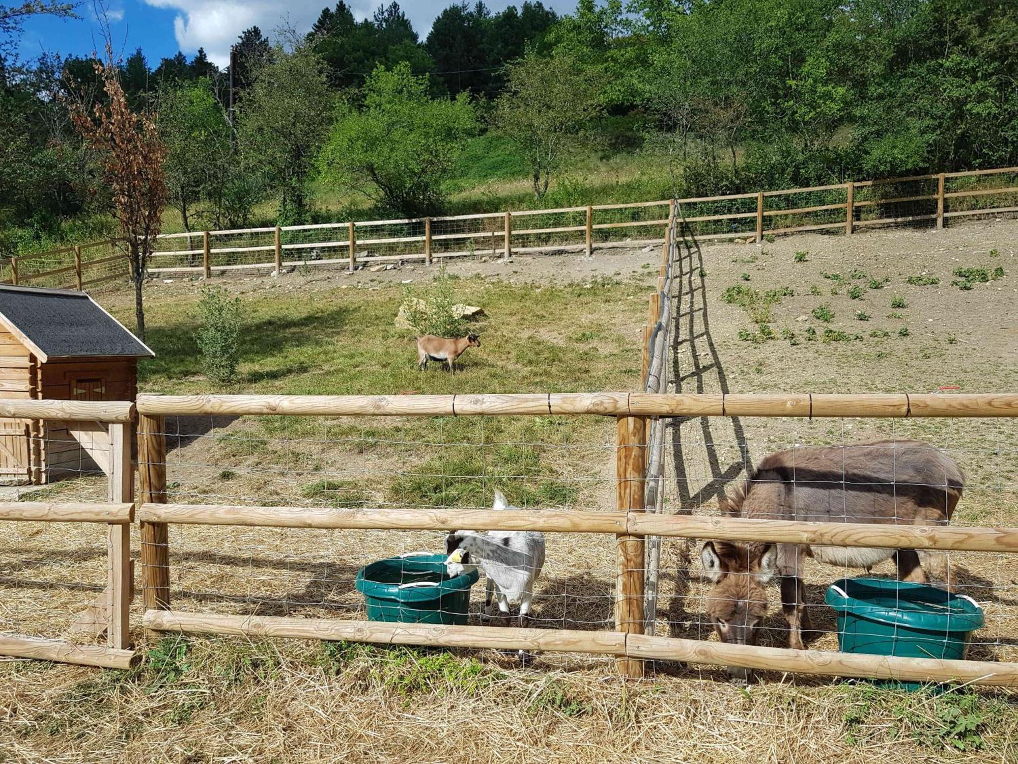 Camping La Ferme De Castellane Dış mekan fotoğraf