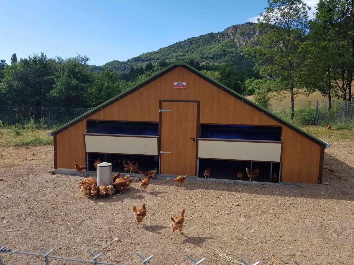 Camping La Ferme De Castellane Dış mekan fotoğraf