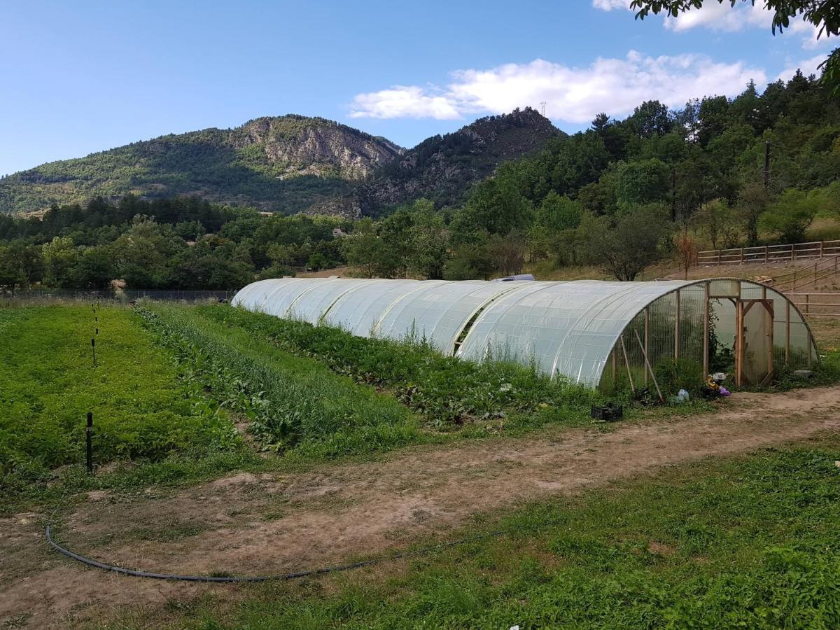 Camping La Ferme De Castellane Dış mekan fotoğraf