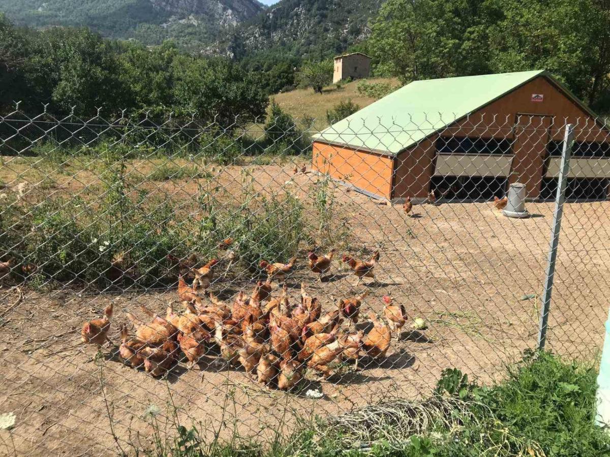 Camping La Ferme De Castellane Dış mekan fotoğraf