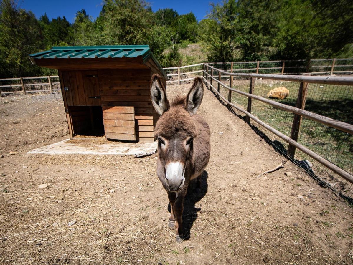 Camping La Ferme De Castellane Dış mekan fotoğraf