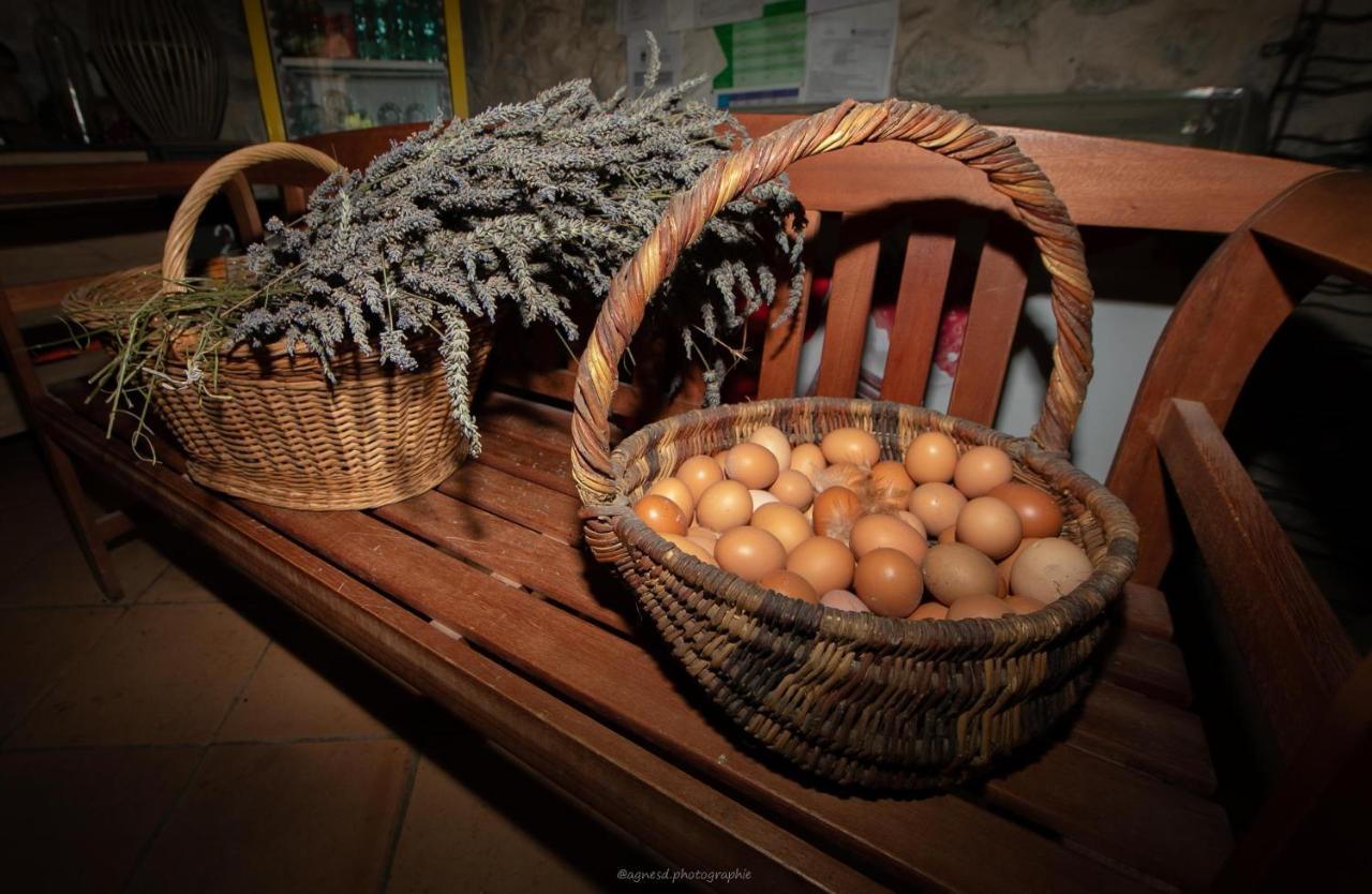 Camping La Ferme De Castellane Dış mekan fotoğraf